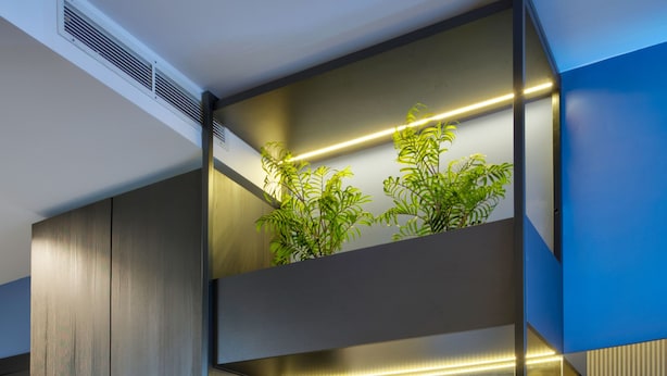 Una habitación moderna y compacta con kitchenette, una zona de estar y una planta en el estante superior.
