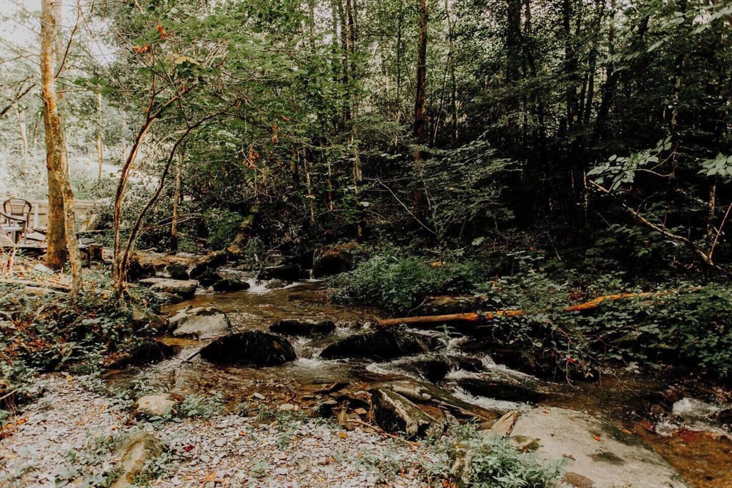 A forested area with a stream, rocks, and a chair.