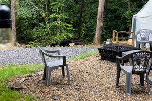 Een camping met een tafel en stoelen, omringd door bomen en een tent.