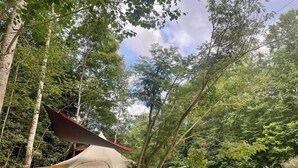 Tenda montada numa área arborizada, com árvores e vegetação ao redor.