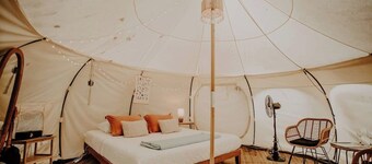 Mimosa Hill @ Wanderlust Woods