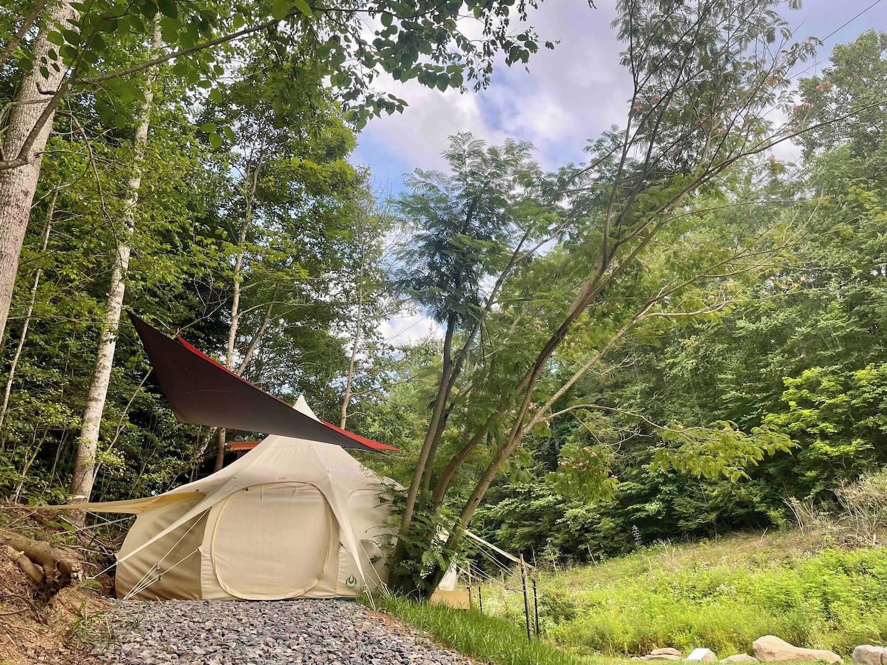 A tent set up in a forested area with trees and greenery around.