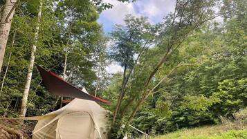 A tent set up in a forested area with trees and greenery around.