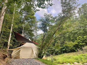 A tent set up in a forested area with trees and greenery around. - Mimosa Hill @ Wanderlust Woods (Cosby)