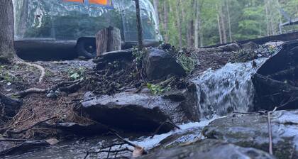 Streamside ShinyTiny Airstream