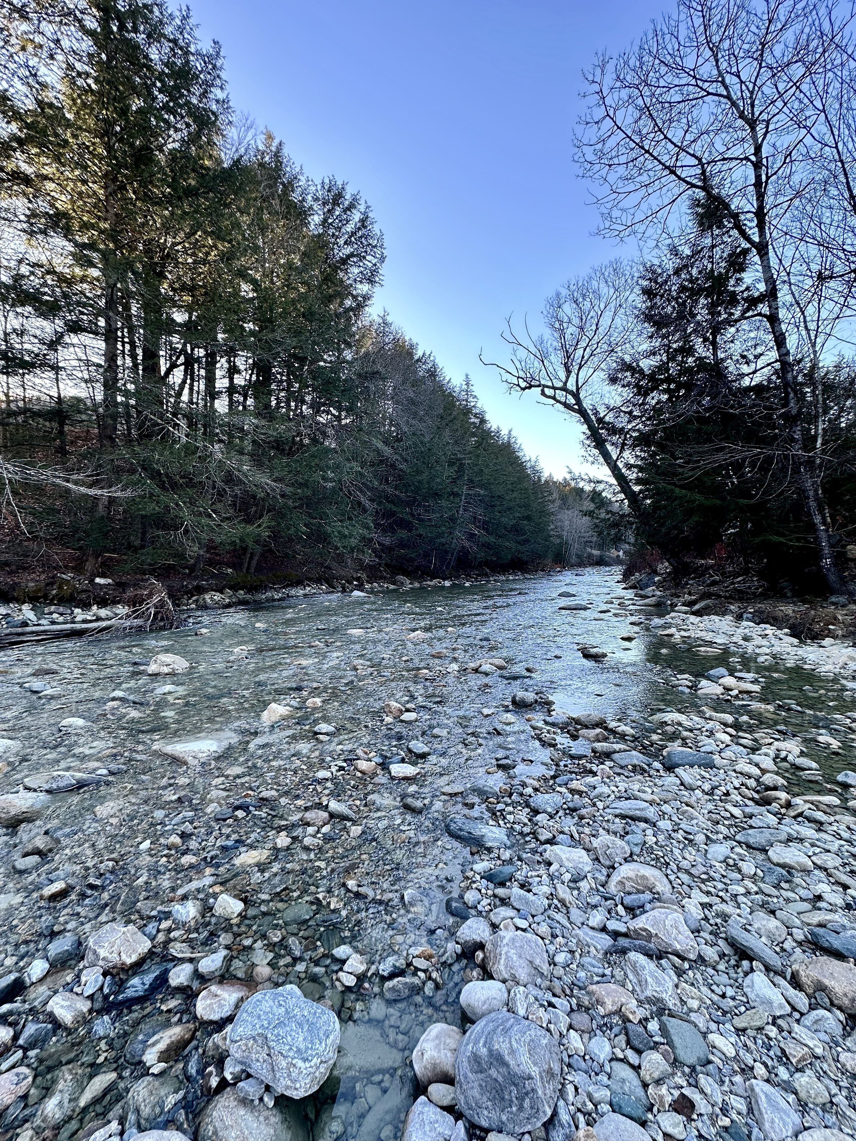 Un río con agua cristalina fluyendo sobre rocas, rodeado de árboles y un cielo despejado.