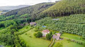 Exterior - Citrus Charm Farmhouse, a Country Villa with Pool on the hills of Lucca (Capannori)