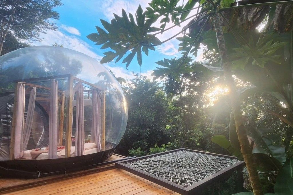 Une structure sphérique transparente, dotée d’une terrasse en bois et d’un plancher en treillis, entourée d’un feuillage dense.