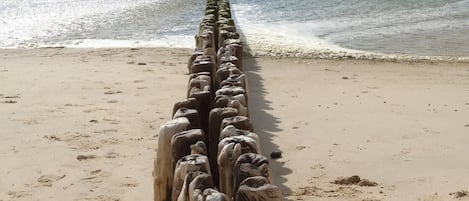 Plage à proximité