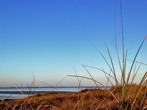 A coastal landscape with grass in the foreground and a clear sky.