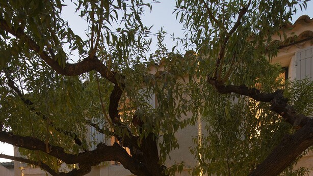 An outdoor seating area with a round table, chairs, and a tree.