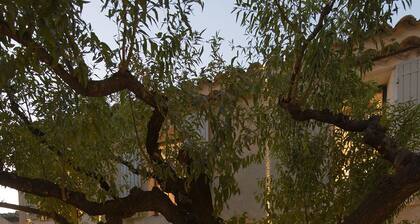 MAISON EN PLEIN COEUR DU VILLAGE