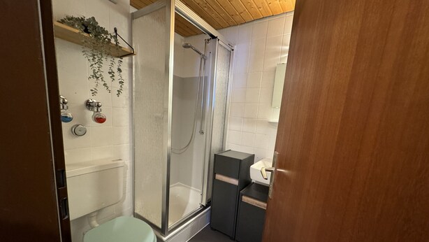 Een badkamer met een toilet, een douche met glazen deur, een wastafel en een klein plankje met een plant.