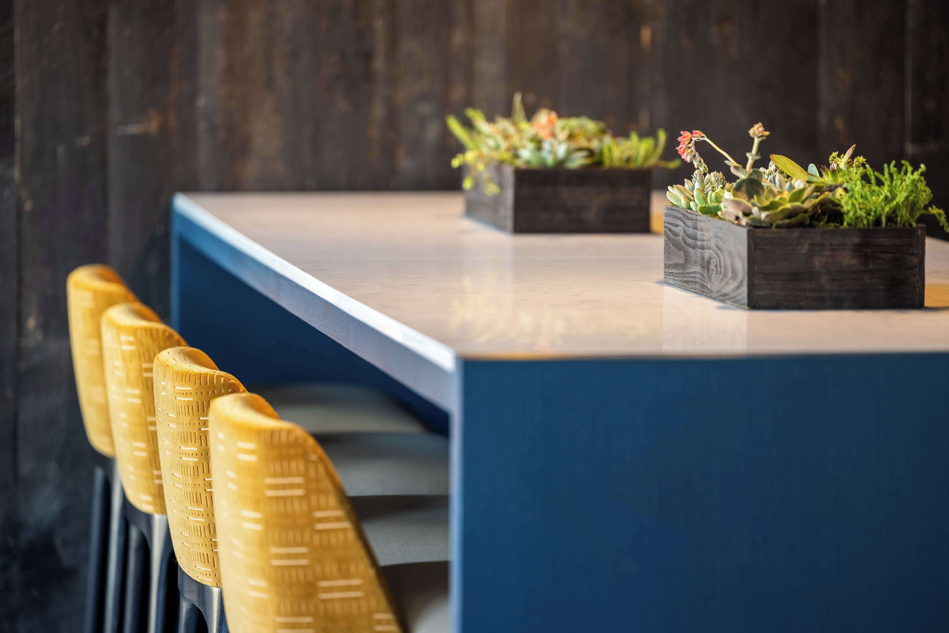 A modern dining area with a wooden table, blue chairs, and potted plants.