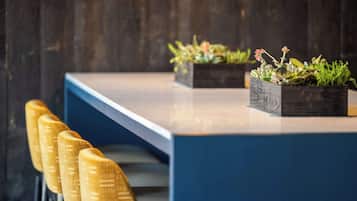 Un comedor moderno con una mesa de madera, sillas azules y plantas en macetas.
