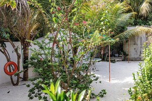 Un jardín con diferentes plantas y una pequeña mesa.