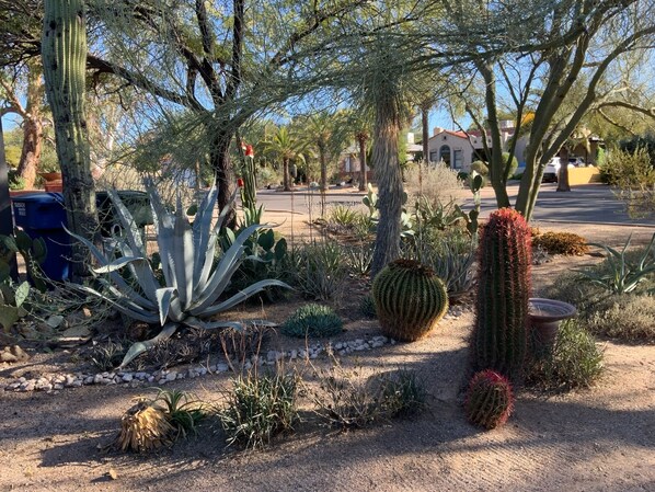 Overnattingsstedets uteområder