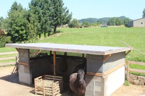 Enceinte de l’hébergement