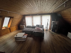 Televisión, chimenea, reproductor de DVD, libros