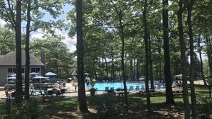 A pool area surrounded by trees, with lounge chairs and umbrellas. - Perfect Mountain Retreat; minutes from all the Laurel Highlands has to offer! (Somerset)