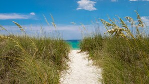A sandy path leading to a beach with tall grasses on either side. - Beach Haven! 2BR 2BA Sleeps 6! Coastal Paradise Awaits! (Panama City Beach)