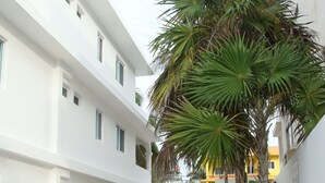 Un espace piscine avec des chaises longues, un palmier et un bâtiment blanc doté de balcons.