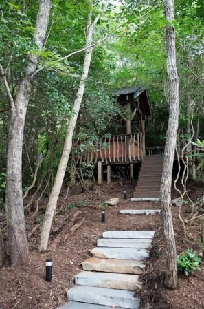 Property grounds - Luxury-Romantic Modern Mountain Home with Hot-Tub (Fairview)