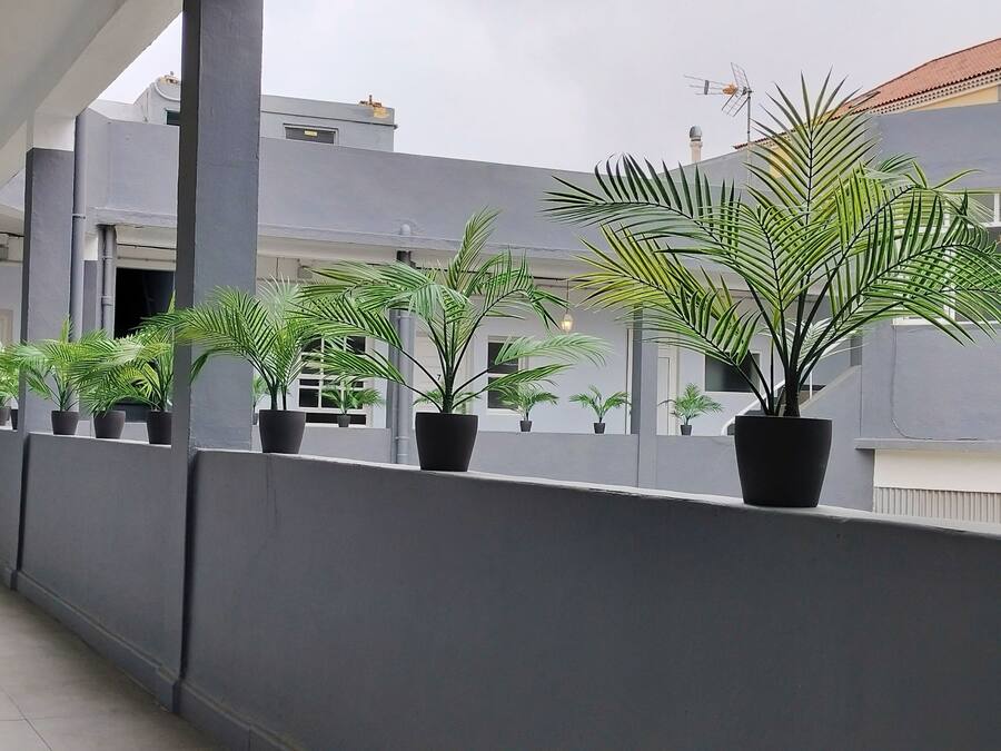 Un balcón con plantas en macetas y un edificio gris al fondo.