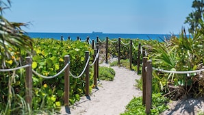 Un sentier qui mène à une plage, avec un navire visible au loin.