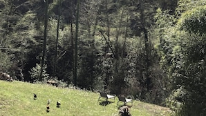 Photo non classée, 4 sur 6, bouton