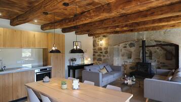 Télévision, cheminée, livres