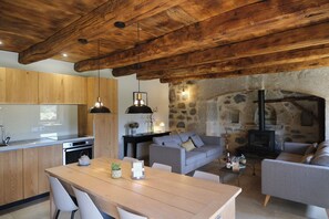 TV, fireplace, books