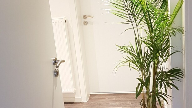 A hallway with a white door, a potted plant, and a radiator. - Ferienwohnung Busch (Rust)
