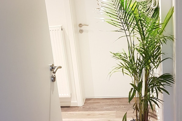 Entrada (vista interna)