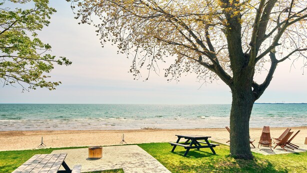 Un espace de pique-nique aménagé sur la plage, avec une table, des chaises, un arbre et une vue sur l’océan.