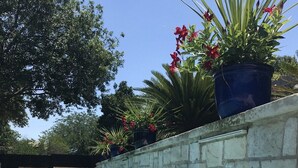 A clear swimming pool with a stone wall and potted plants. - Beautiful Gated Home with Pool! (Austin)