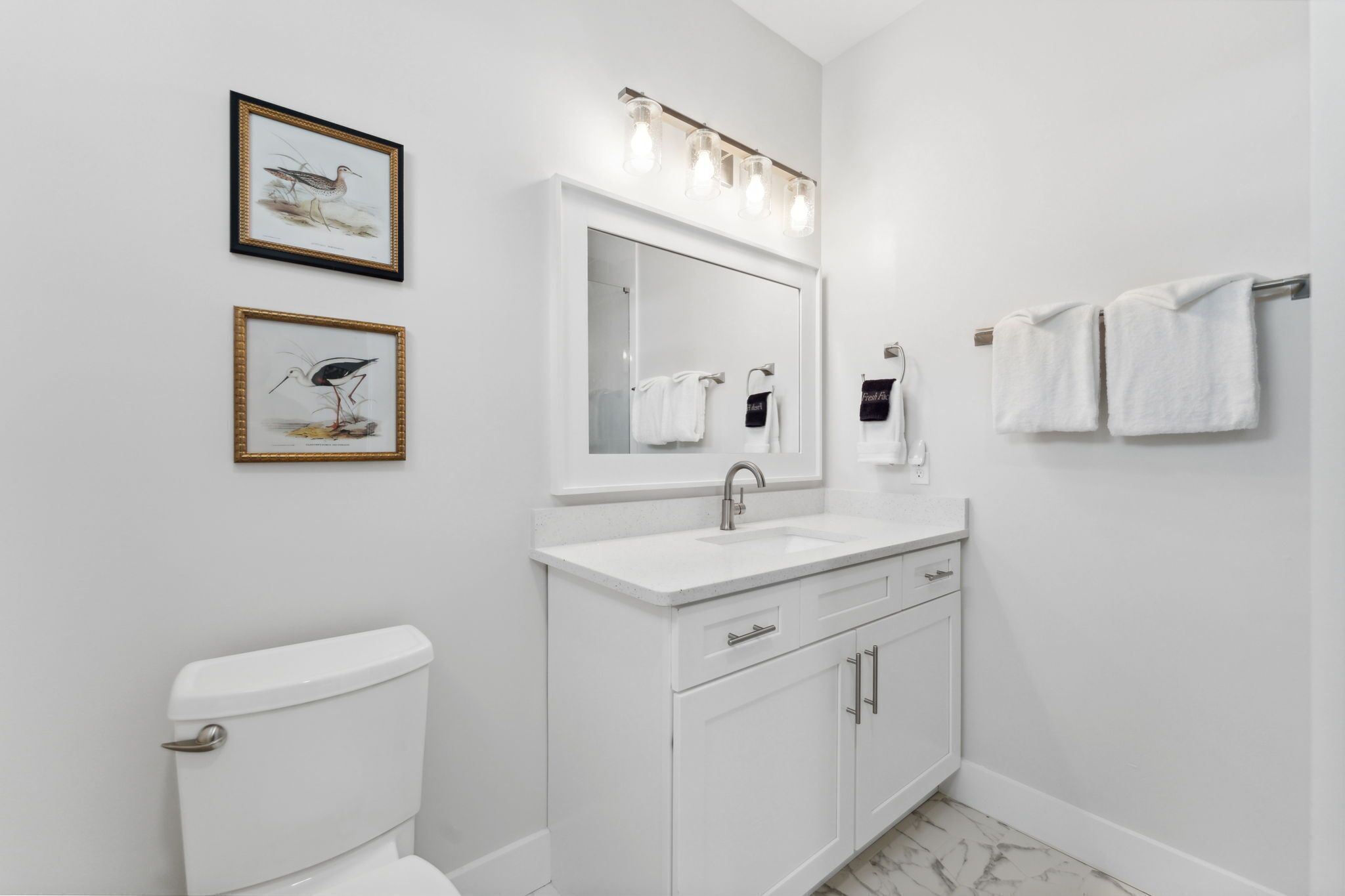 A modern bathroom with a white toilet, a sink with a mirror above it, and two framed bird illustrations on the wall.
