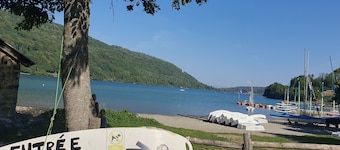 Bienvenue Dans L'ambre !