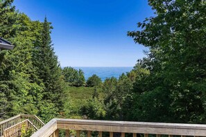 Unclassified image, 3 of 37, button