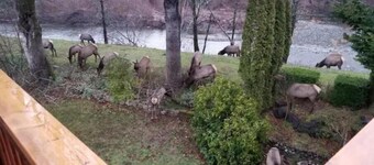 South Fork River Retreat - Close to Downtown