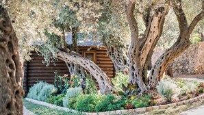 Exterior - Holiday Park Tree  (Ulcinj)