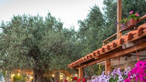 Garden - Holiday Park Tree  (Ulcinj)