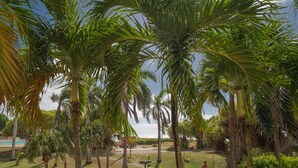 Un jardín tropical con palmeras, un sendero y una piscina.