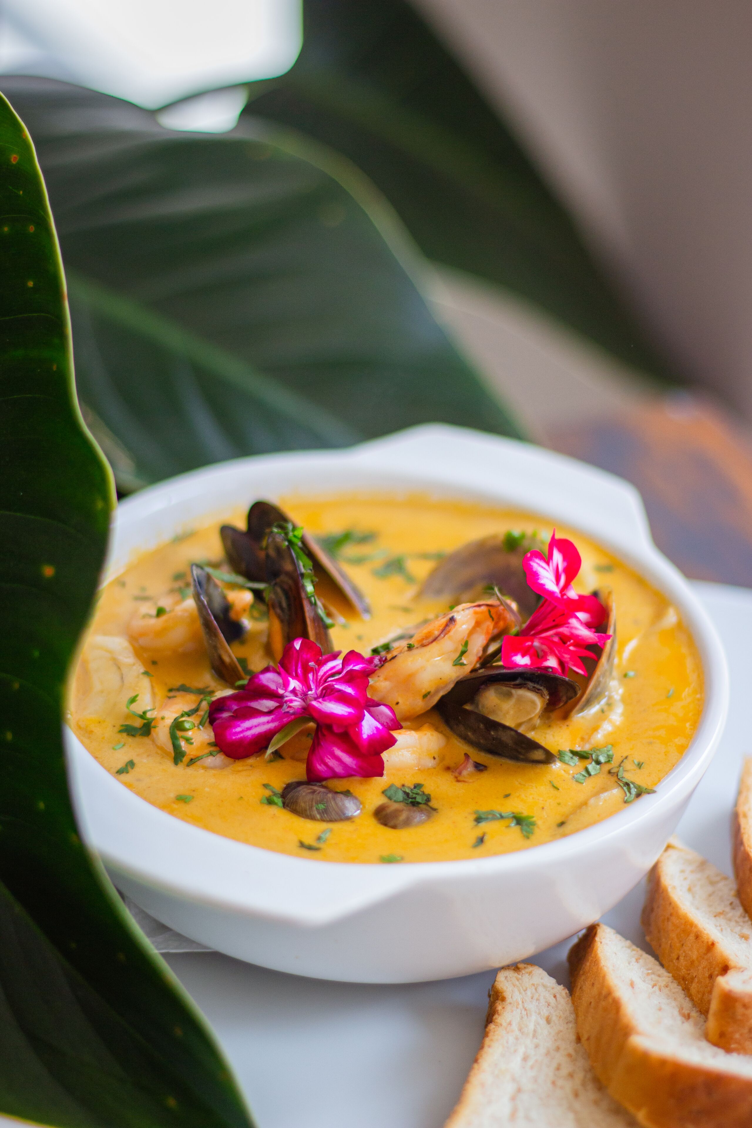 Foto - Balmoral Plaza Hotel