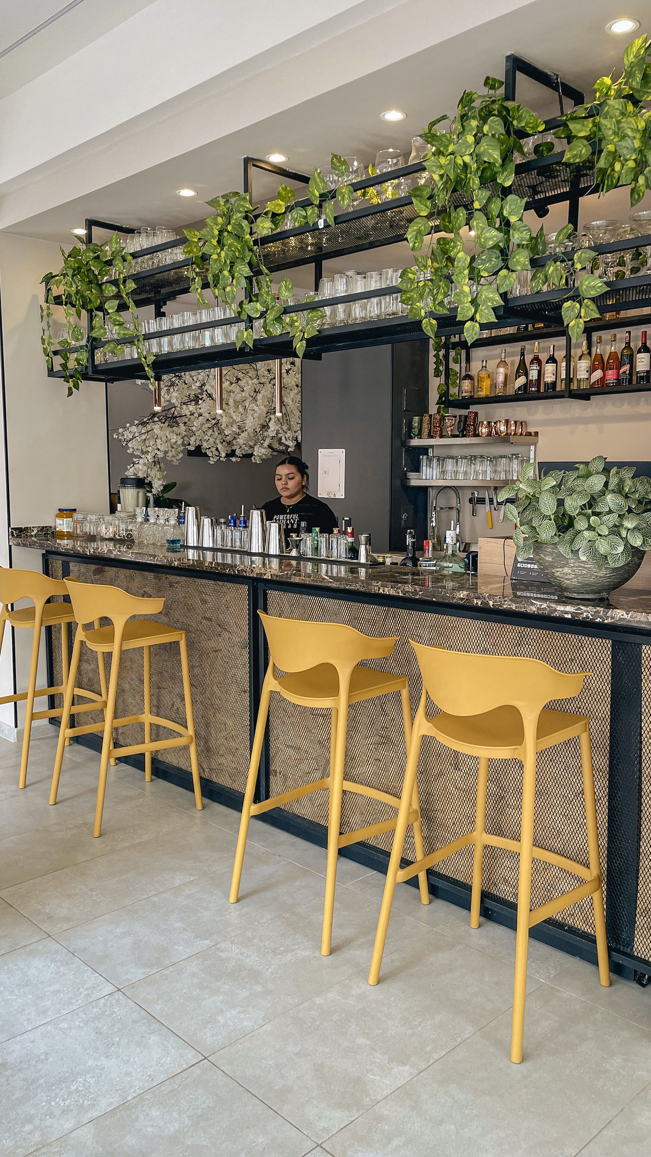 Foto - Balmoral Plaza Hotel