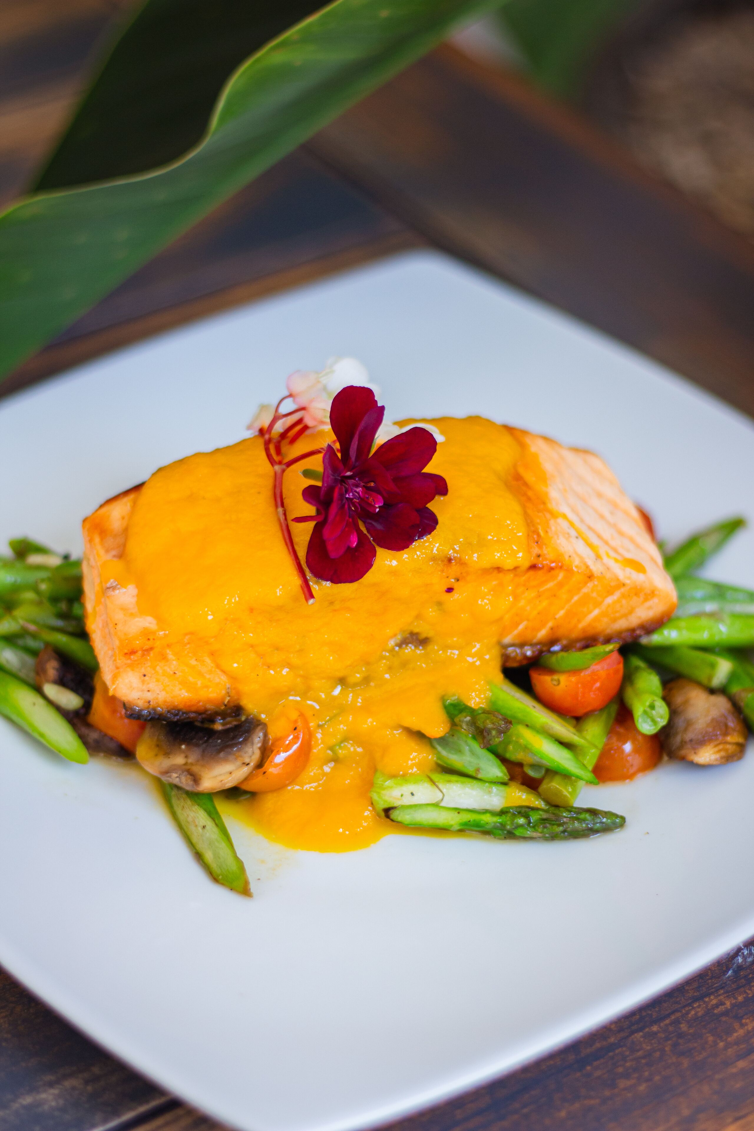 Foto - Balmoral Plaza Hotel