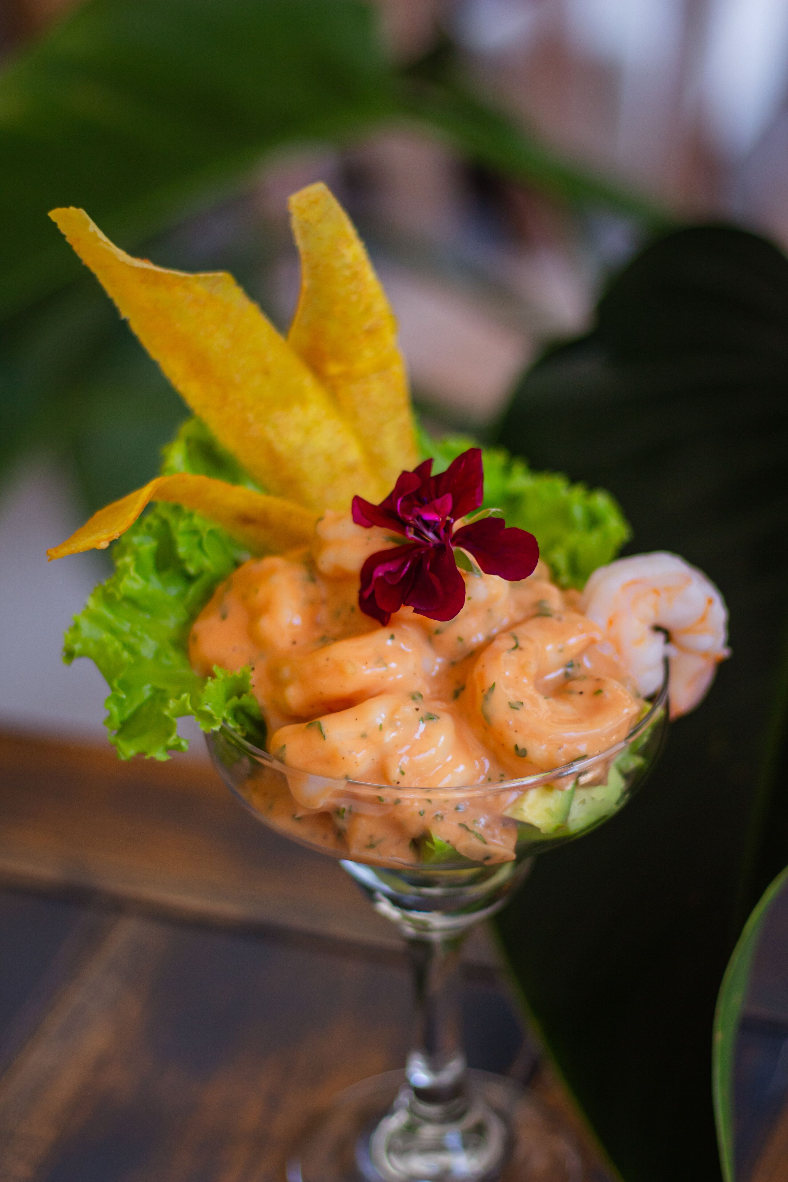 Foto - Balmoral Plaza Hotel