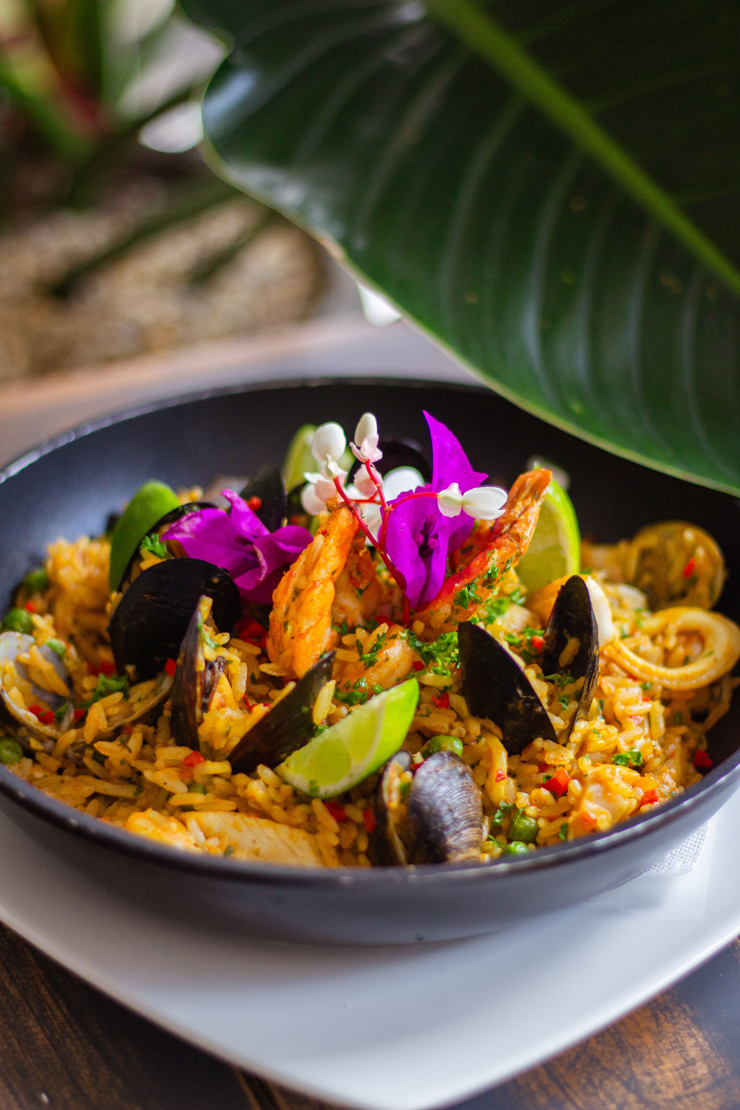 Foto - Balmoral Plaza Hotel