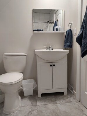 Secadora de cabello, toallas, papel de baño 
