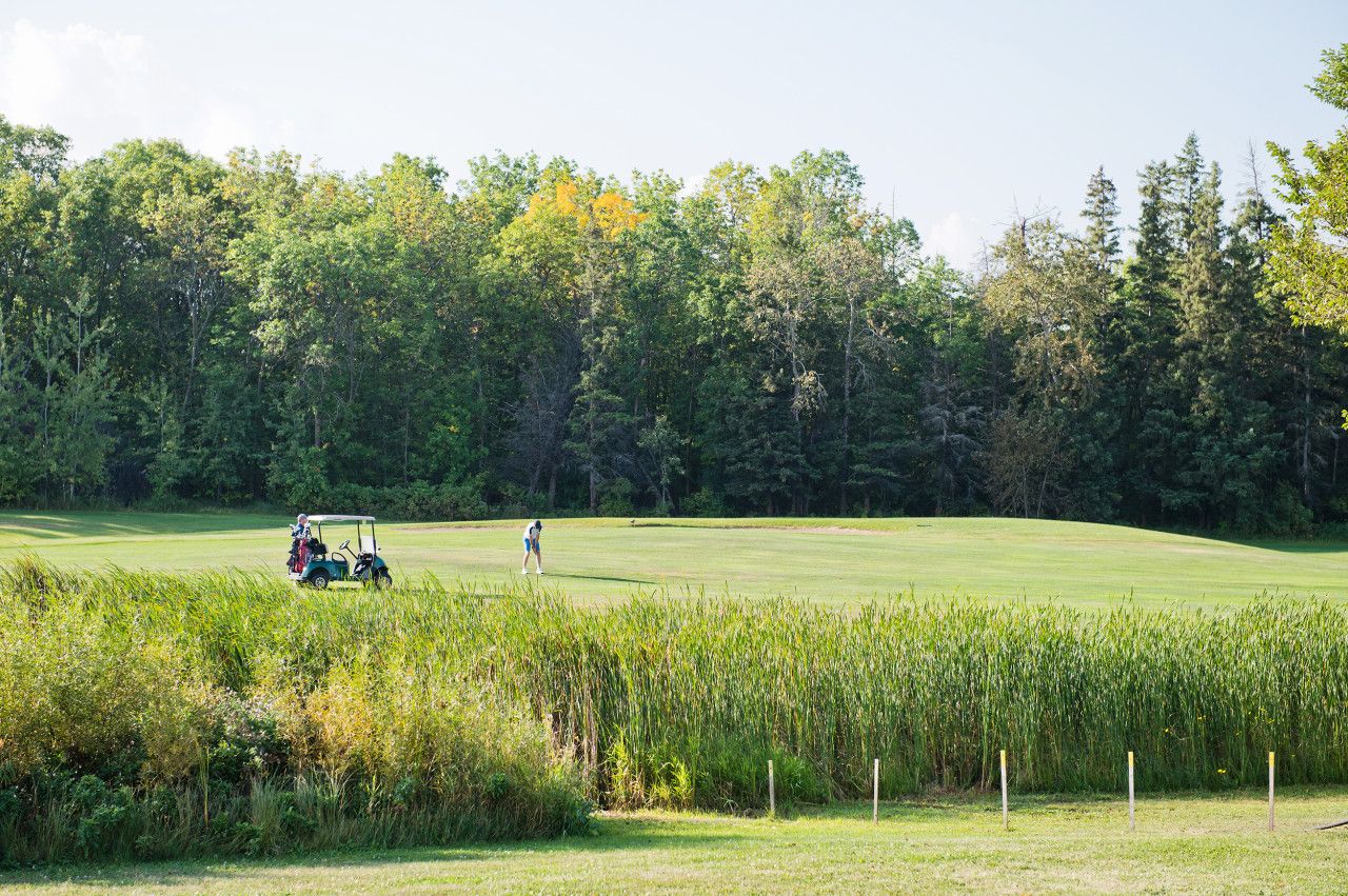 A golf course with a cart and a person in the distance, surrounded by dense trees and a field of tall grass in the foreground.
